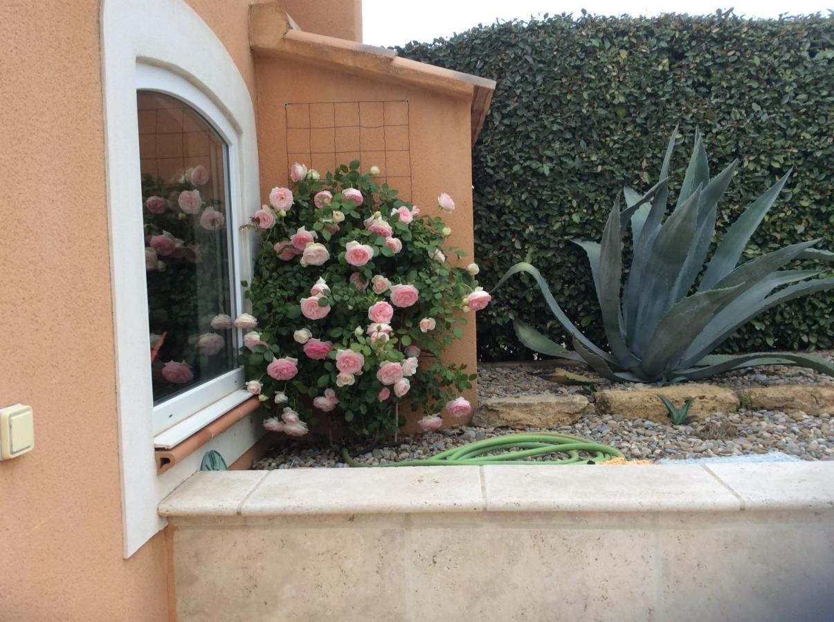 Les Lavandes Bed & Breakfast Alleins ภายนอก รูปภาพ