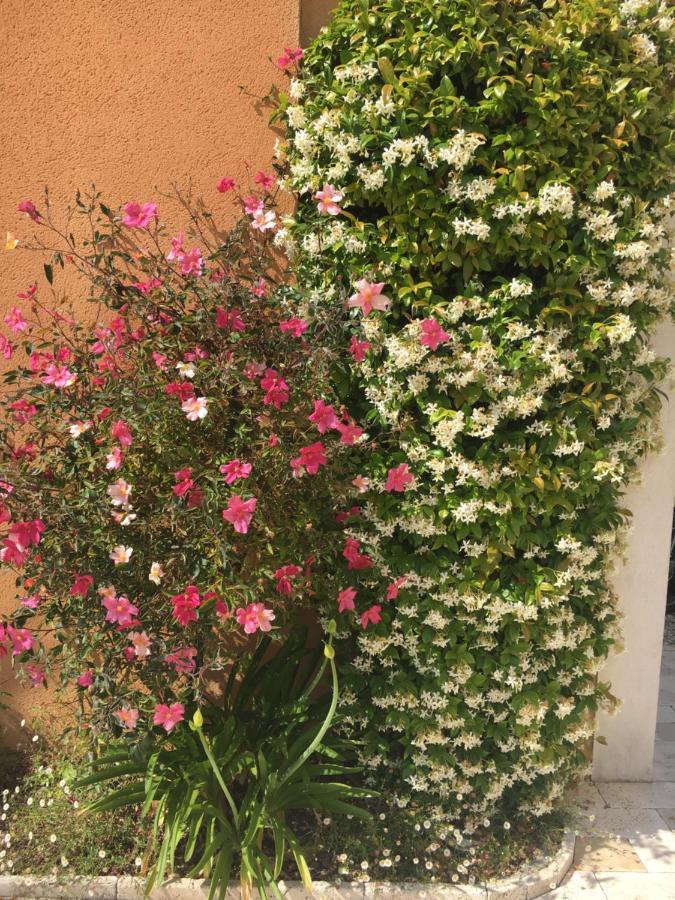 Les Lavandes Bed & Breakfast Alleins ภายนอก รูปภาพ